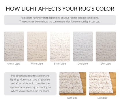 SAFAVIEH Area Rug 9x12 - Arizona Shag Collection - Large - Ivory & Beige, Moroccan Boho Design, Non-Shedding & Easy to Clean, Ideal for Living Room, Bedroom, Dining Space (ASG741A)
