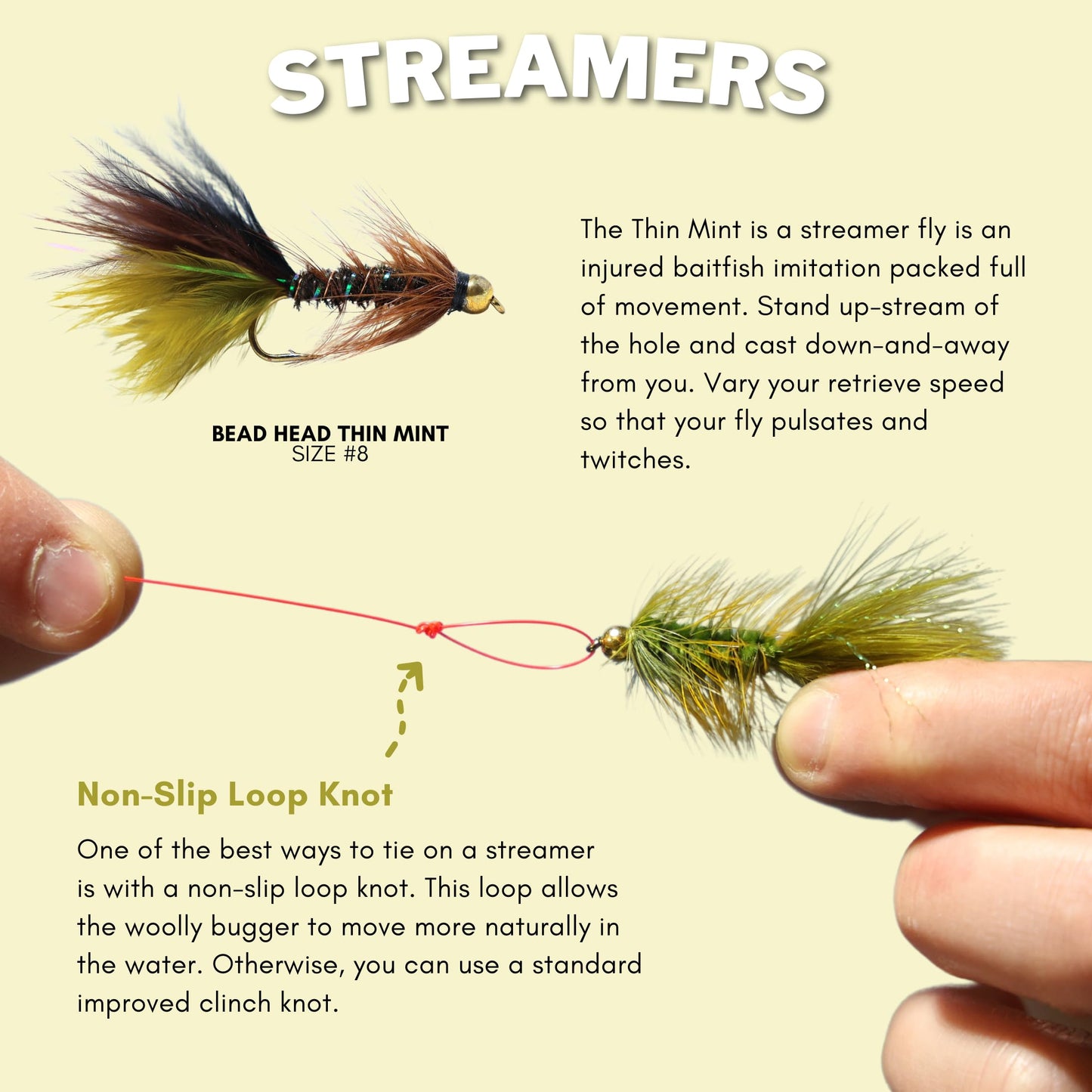 24 Fly Fishing Flies Assortment for Trout | 2 Dozen Fly Fishing Flies Kit | Dry Flies, Nymph, Wet, Streamers, Wooly Bugger Flies | Trout Lure Set Kit