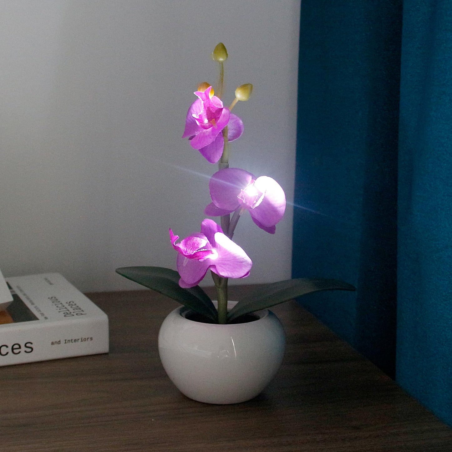 Naimo Phalaenopsis Night Light Rechargeable LED Night Lamp Flower Table Lamp for Bedroom Living Room Birthday Party Desktop Home Decor