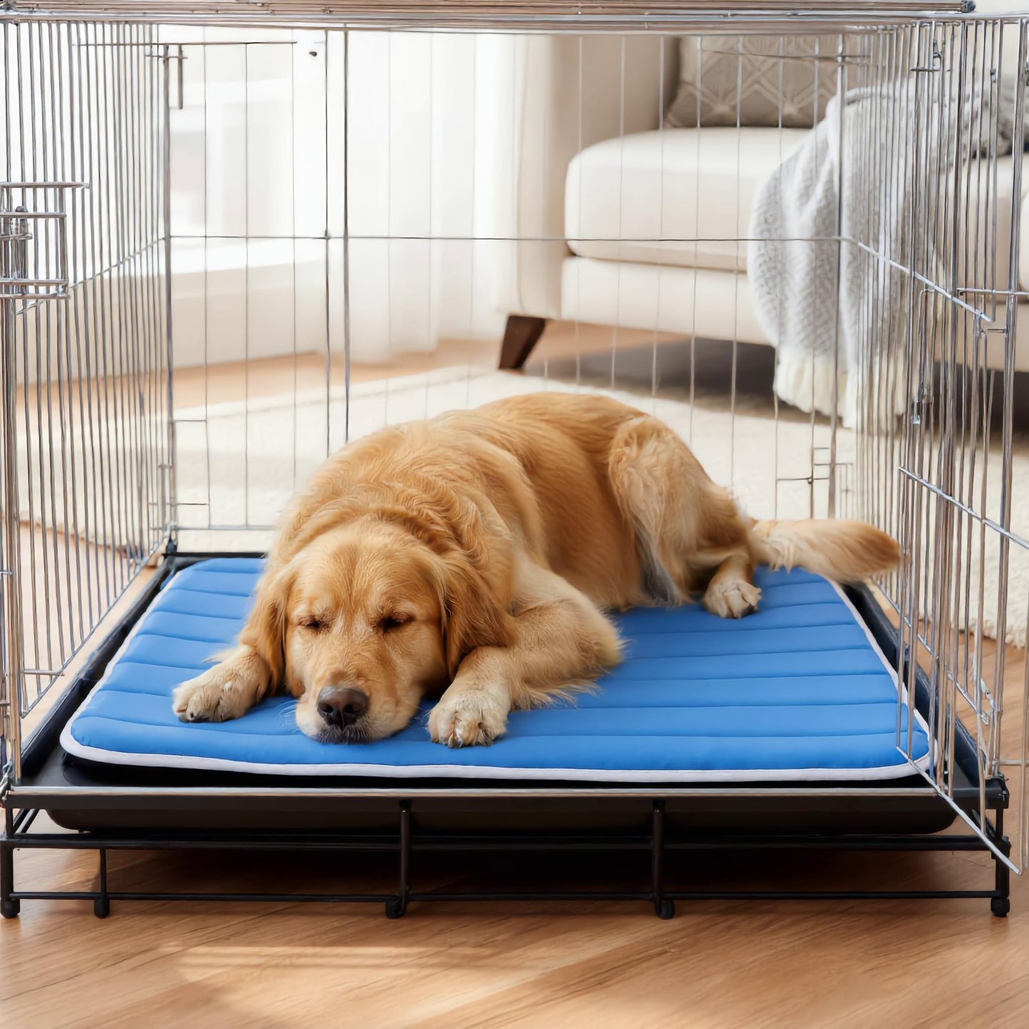 Petvolve Dog Cooling Mat, Cold Memory Sponge Cooling Mat for Dog, Foldable Crate Pet Bed & Non-Slip, (Q-Max > 0.45) Long-Lasting Cool & Keep Your Pet Cool (Large - 35.4x23.6 Inch)