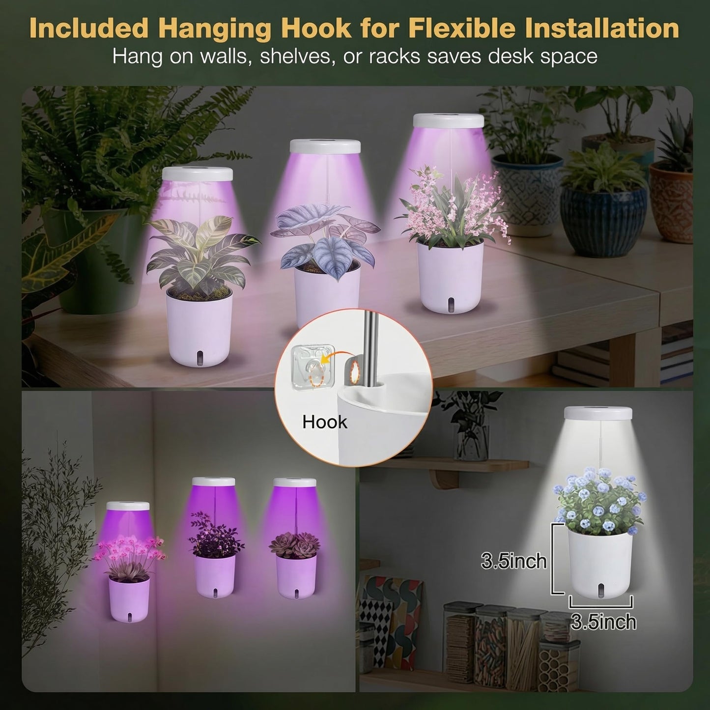 Raygrov Self-Watering Planter with Grow Light — Cute Desk Plant Pot for Office, Bedroom & Window — No Green Thumb Needed, 2-in-1 Wall + Desktop, USB Powered (5W LED, White)