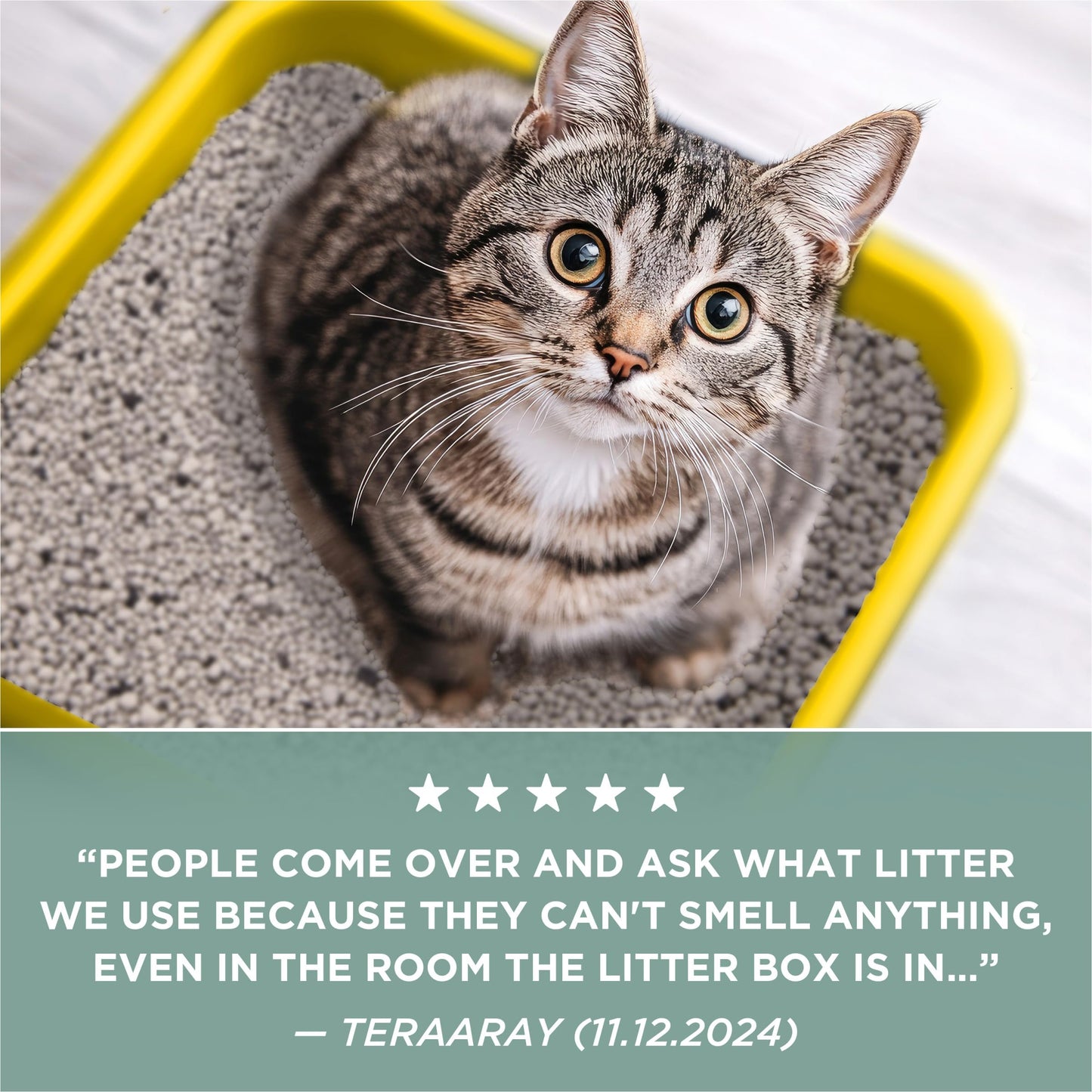 Purina Tidy Cats Clumping Cat Litter Odor Control, Free and Clean Unscented Multi Cat Litter - 16 lb. Bag