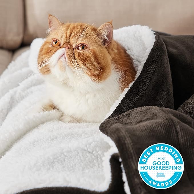 Bedsure GentleSoft Sherpa Fleece Throw Blanket for Couch - Thick and Warm Throw for Men, Soft Fuzzy Plush Blanket for Winter, Brown, 50x60 Inches