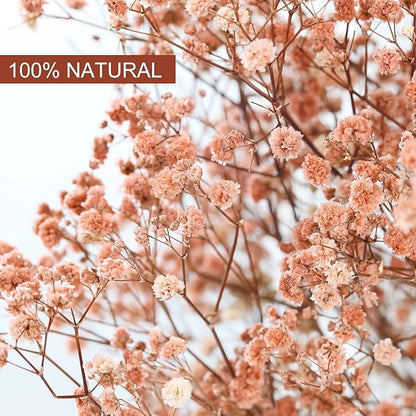 Babys Breath Dried Flowers Bouquet-17'' 4500+ Ivory Dry Flowers, Natural Gypsophila Branches for Wedding, Home Table Vase Decor, DIY Wreath Floral, Fall Thanksgiving Autumn Decoration (Brown, 5oz)