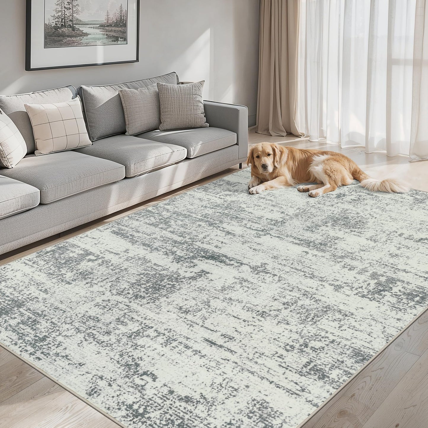 Area Rugs 9x12 Living Room - Washable Rug Modern Abstract Soft Large Neutral Non-Slip Carpet Indoor Floor Stain Resistant Thin Carpets for Bedroom Dining Room Farmhouse Nursery Home Office Grey