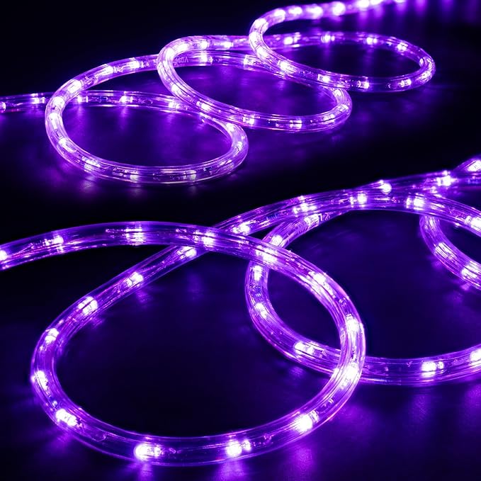 WYZworks 1116LEDs 100ft LED Outside Rope Lights, Outdoor ETL Certified Waterproof Permanent 360 Degree Light Emitting, Flexible Tube, Connectable, Christmas Palm Tree Exterior Landscape, Purple
