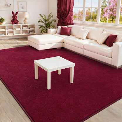 B BENRON Soft Rugs for Living Room 5x7 Wine Red, Minimalist Area Rug for Bedroom Nursery Dining Table Dorm, Throw Rugs for Men Boys Girls Kids Room Indoor Floor Carpets