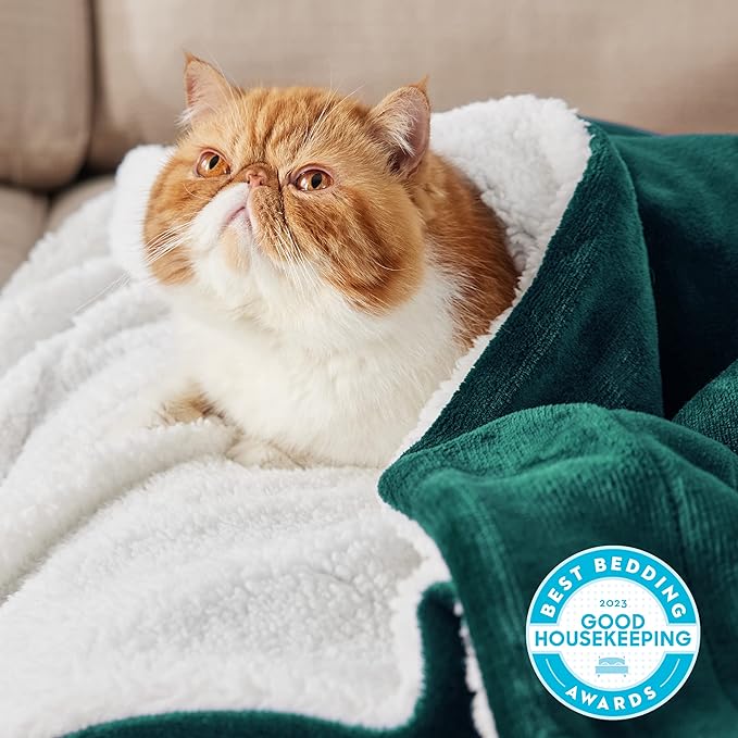 Bedsure GentleSoft Sherpa Fleece Blankets King Size for Bed - Thick and Warm, Soft Fuzzy Plush King Christmas Blanket for Winter, Forest Green, 108x90 Inches