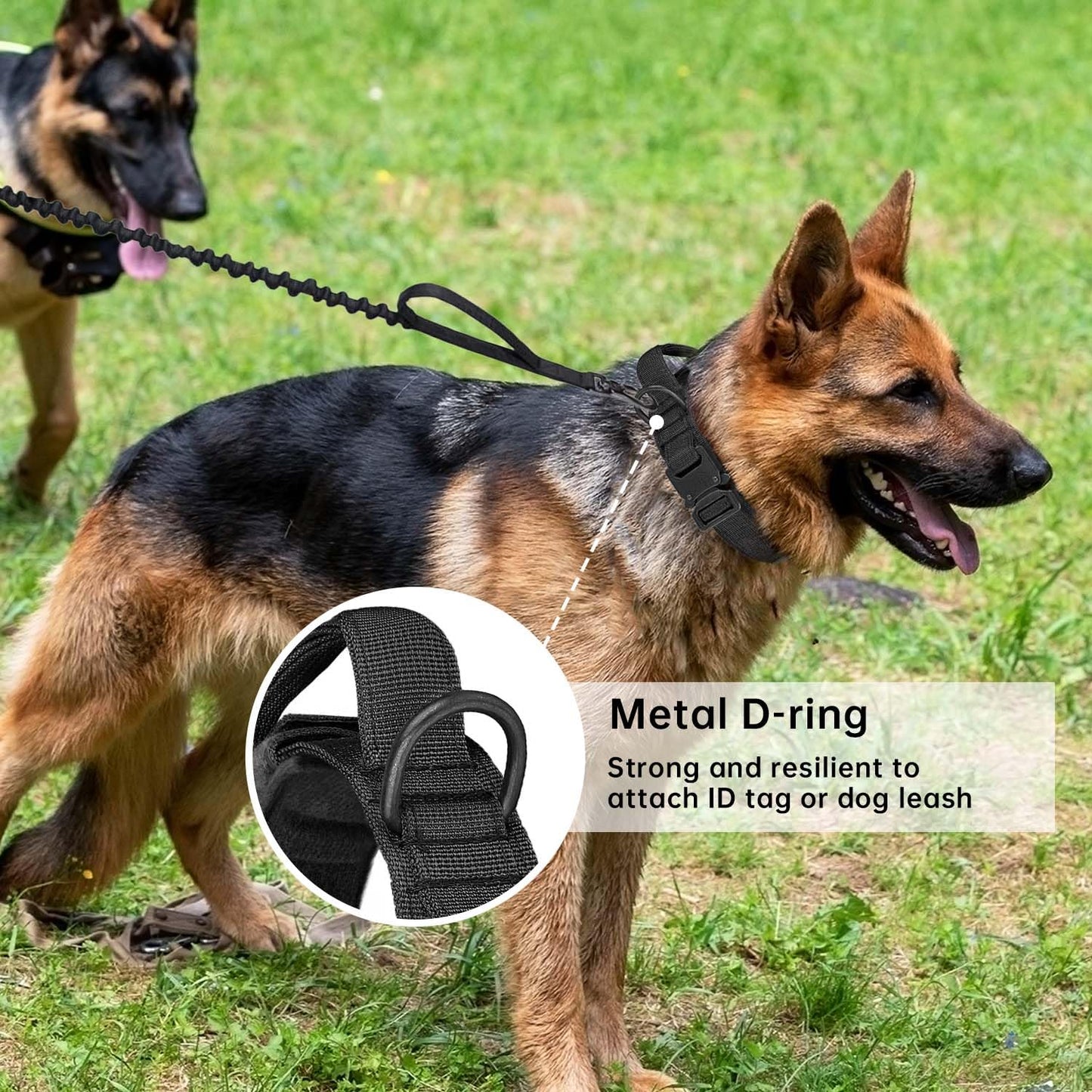 Tactical Dog Collar with Handle - Adjustable Nylon Training Military Dog Collar with Heavy Duty Metal Buckle Collar for Medium Large Dogs,with Patch