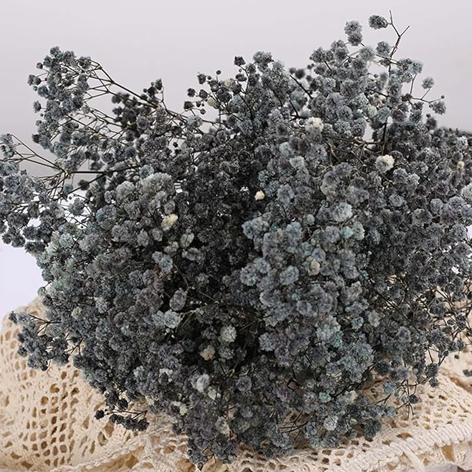 Dried Babys Breath Flowers Bouquet-17 Inch 2500+ Black Dried Flowers, Natural Dry Flowers for Wedding Flowers, Table Vase Decor, DIY Wreath Floral, Home Office Party Garden Decoration