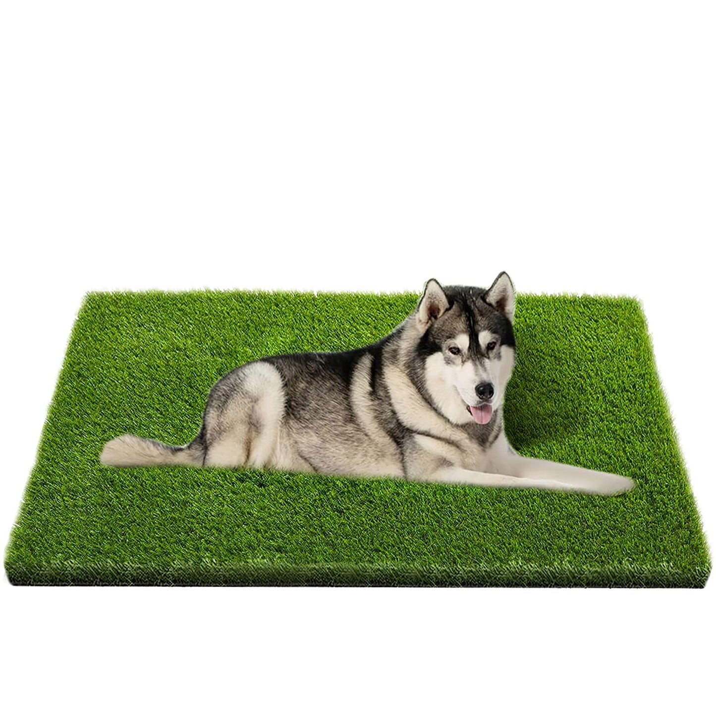CooZero Artificial Grass, 47.3"x31.5" Professional Dog Grass Mat, Potty Training Rug and Replacement Turf Outdoor Rug Patio Lawn Decoration, Easy to Clean with Drainage Holes(47.3x31.5 inches)