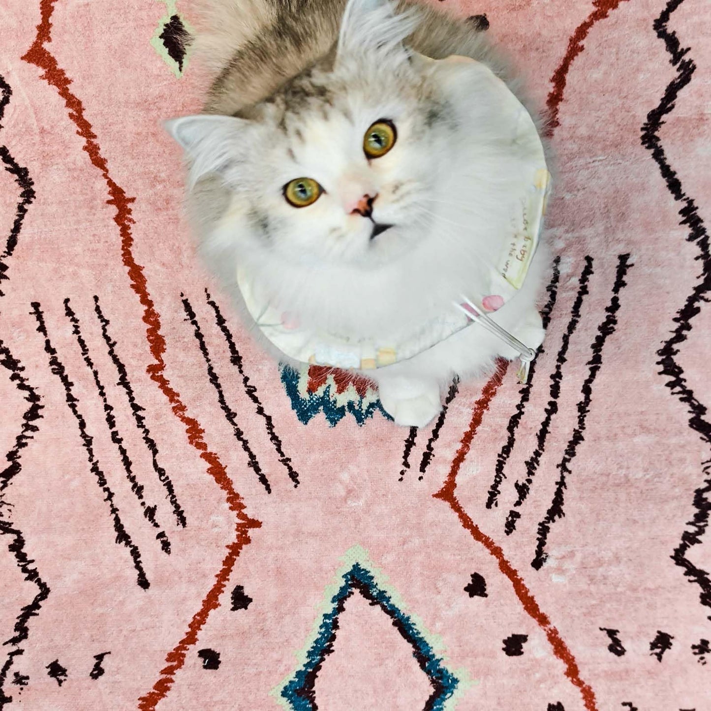 jinchan 2x3 Entryway Rug Pink Washable Modern Boho Rug Geometric Hot Nerd Doormat Soft Low Pile Non Slip Accent Small Mat Lightweight Cozy Throw Carpet for Kitchen Bathroom Laundry Room Study Dorm