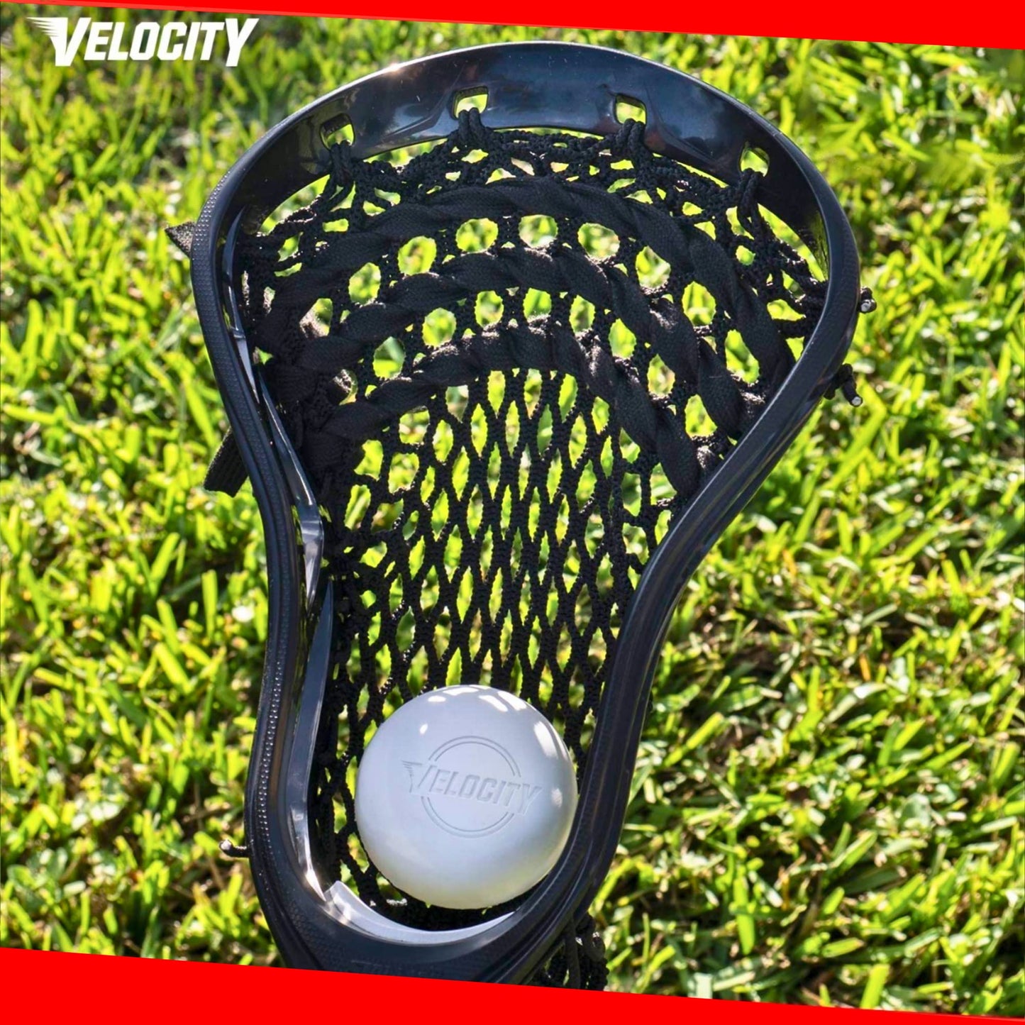 Velocity Practice Lacrosse Balls - 1, 2, 3, 6, 12, 18, 24, 36, 60 and 120 Packs - Official Size and Weight - White