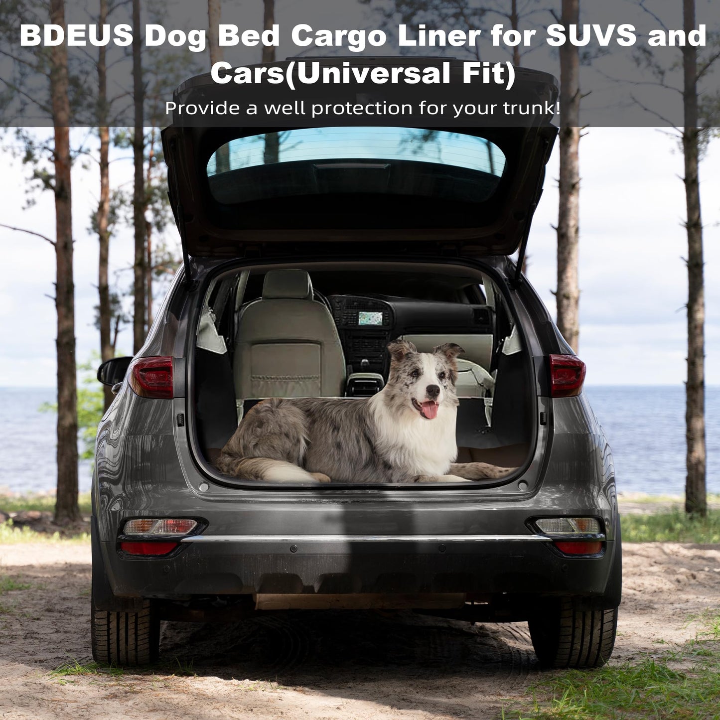 BDEUS X-Large Travel Dog Bed, Outdooor Camping Pet Mat, Portable Place Mat with Handle, Easy to Clean, Waterproof & Portable and Odor Resistant Pet Cooling Pad (X-Large 51" x 35", Black)