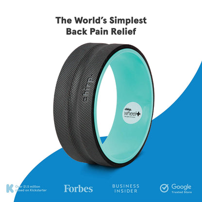 Chirp Wheel Foam Roller – Targeted Back & Neck Relief, Lumbar Spine Stretcher, Spinal Decompression Back Stretcher, Massage Roller with Density Foam for Physical Therapy, Supports 500lbs, 2-Inch Mint