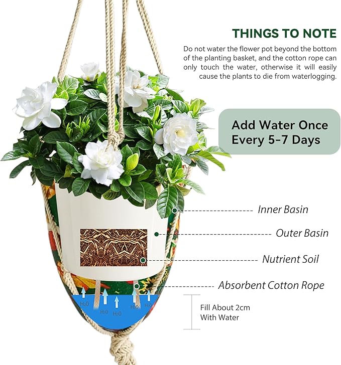 Hanging Planter Round Hanger Plant Pots - 2 Pack Outdoor Garden Flowerpots Plastic Indoor Modern Decorative Succulent Houseplant Pot 6FP-CMRG
