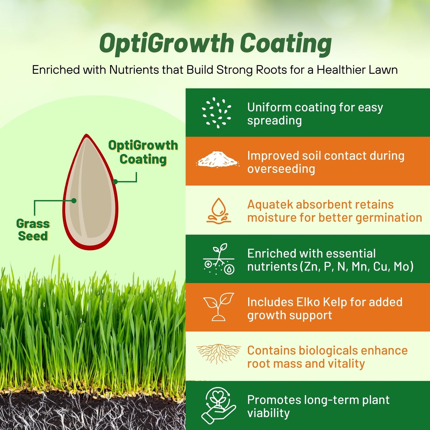 Outsidepride SPF-30 Hybrid Bluegrass Seeds - 25 lbs. Heat & Drought Tolerant, Texas Bluegrass & Kentucky Bluegrass Seed Mix for Challenging Climates, OptiGrowth Coated for Better Establishment