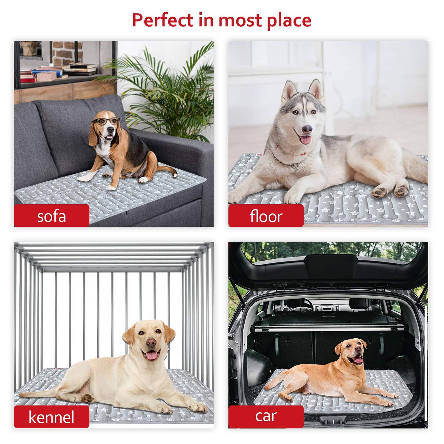 Dog Crate Bed Mat (36" X 23"), Soft Dog Bed Mat with Cute Stars, Personalized Crate Pad, Anti-Slip Bottom, Machine Washable Kennel Pad