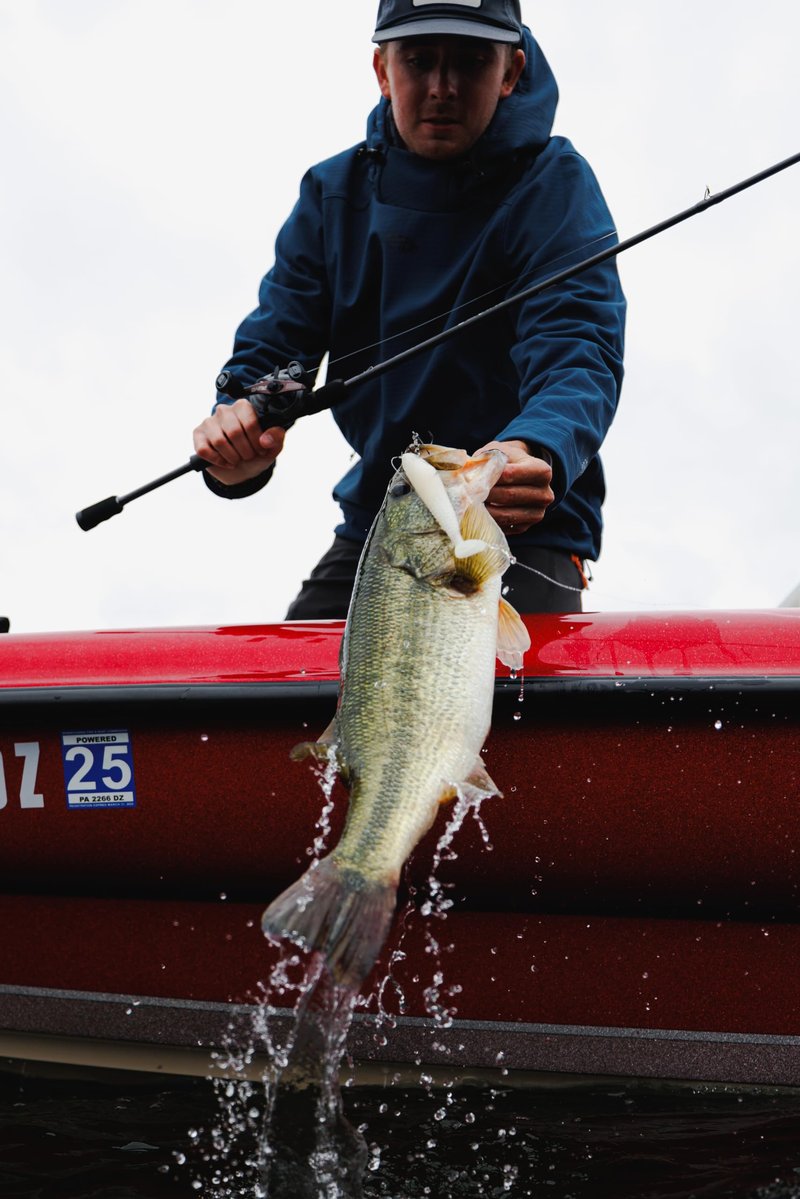 Berkley PowerBait® CullShad Fishing Bait, HD Rainbow Trout, 6 in, Soft Swimbait, Equipped with Fusion19TM Hook, Smart Weighting System