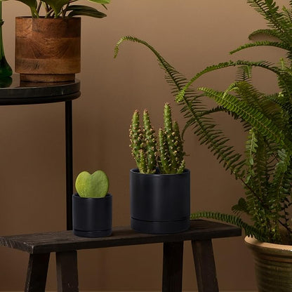 D'vine Dev 3.5 Inch & 4.7 Inch Ceramic Planter Pots for Plants with Drainage Hole and Saucer, X-Small Plant Pots Set, Black, 94-G-XS-2