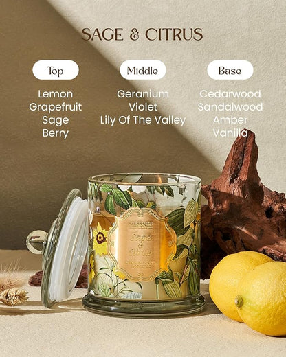 M&SENSE Sage Citrus Scented Candles, Natural Organic Soy Candle 12.7oz 75H Long Lasting Slow Burning, 2 Wick Large Jar Candle Stress Relief, Fall Winter Thanksgiving Christmas Housewarming Gift