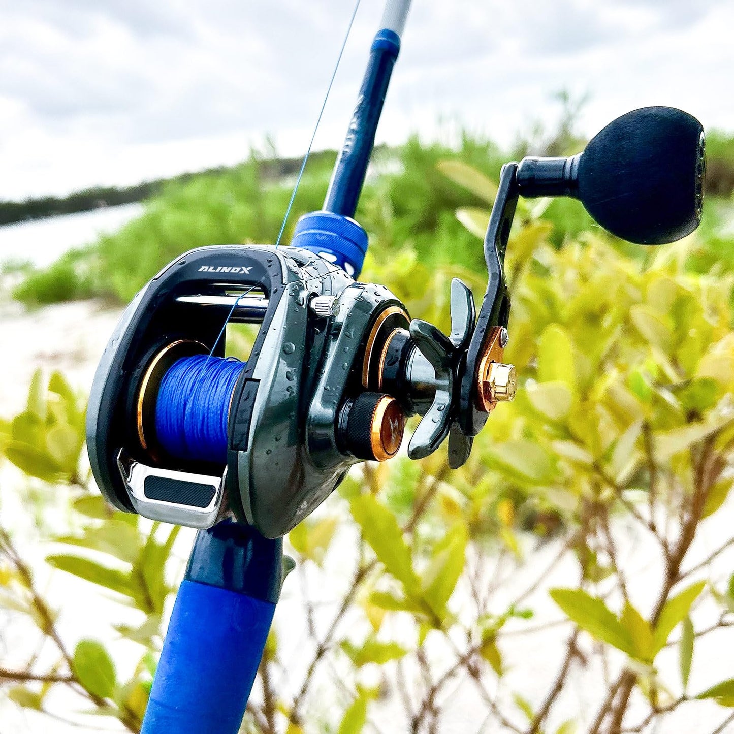 Piscifun Alinox 300 Baitcaster Fishing Reel,Aluminum Frame Baitcasting Reel, 33Lbs Max Drag, 6.6:1 Gear Ratio, Freshwater & Saltwater Low Profile Casting Reel for Musky (Right Handed)