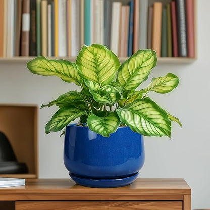 G EPGardening 6 Inch Plant Pot - Round Ceramic Planter Indoor with Drainage and Ceramic Saucer for Flower, Modern Desk Decor, Modern Garden Gift, Blue