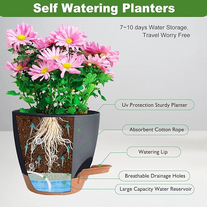 Plant Pots, Self Watering Planters for Indoor Plants with Drainage Hole, Plastic Flower Pot for Succulents, African Violet (Black, 12/10/9)