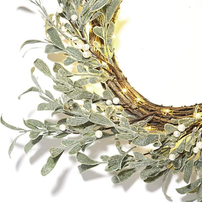 LampLust Winter Wreaths for Front Door Outside, 20 Inch Flocked Wreath with Mistletoe & Pearly White Berries, 75 LED Lights, Battery Powered, Timer, Farmhouse Wreath, Winter Wreaths for Indoors