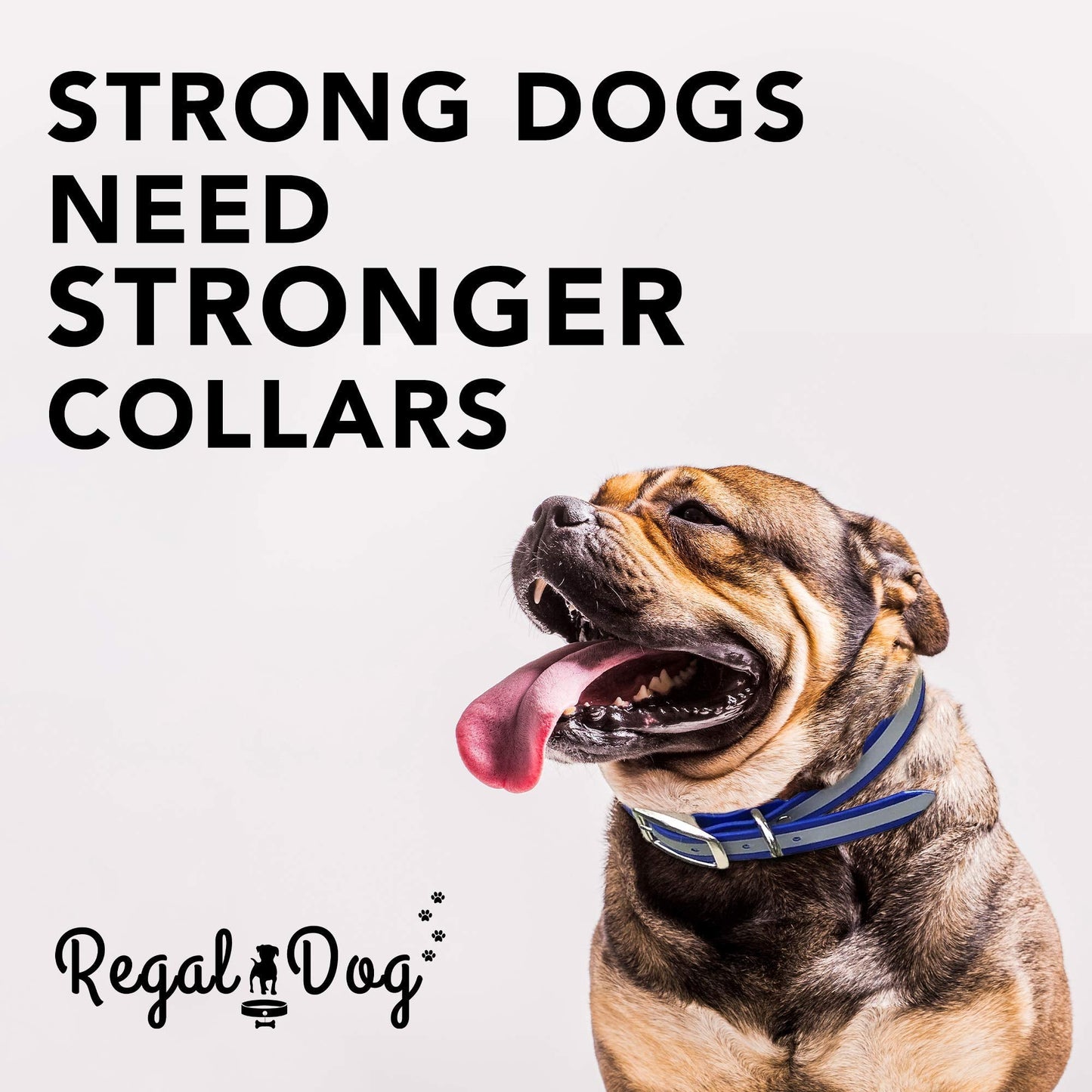 Regal Dog Products Medium Yellow Heavy Duty Reflective Dog Collar with Durable Metal Buckle and D Ring Adjustable, Chew Proof & Waterproof Strong Small Dog Collar Other Sizes for Medium & Large Dogs