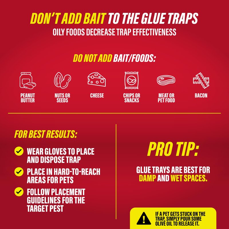 Catchmaster Rat & Mouse Glue Traps with Sticky Putty 2Pk, Large Bulk Glue Board, Rat & Mouse Traps Indoor for Home, Adhesive Plastic Tray for Snakes, Mice & Spiders, Pest Control for House & Garage
