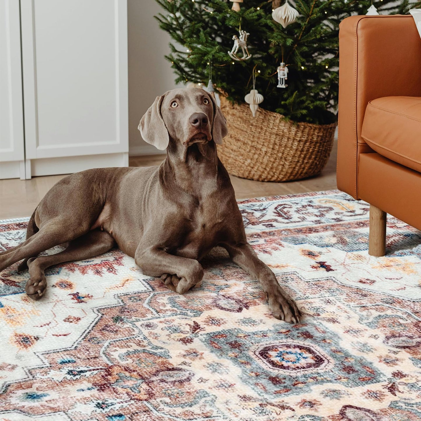 Washable Area Rug 5x7, Large Soft Rugs for Living Room, Non-Slip Stain Resistant Boho Chic Vintage Carpet for Bedroom Dining Room Cherry