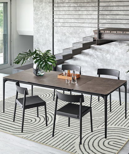 Lahome Abstract Washable Area Rug, 5x7 Rug for Bedroom Non-Slip Soft Living Room Rug, Ultra-Thin Modern Black and White Rug Throw Large Carpet for Dining Room Darrell(5'x7',Black)