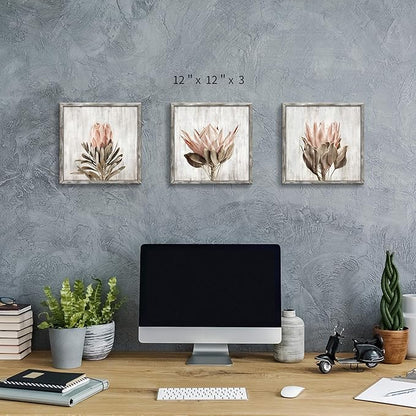 Pink Floral Wall Art Picture: Blossom Protea Flower Artwork Print on Rustic Wood Framed for Home Decor (12” x 12” x 3 Panels)