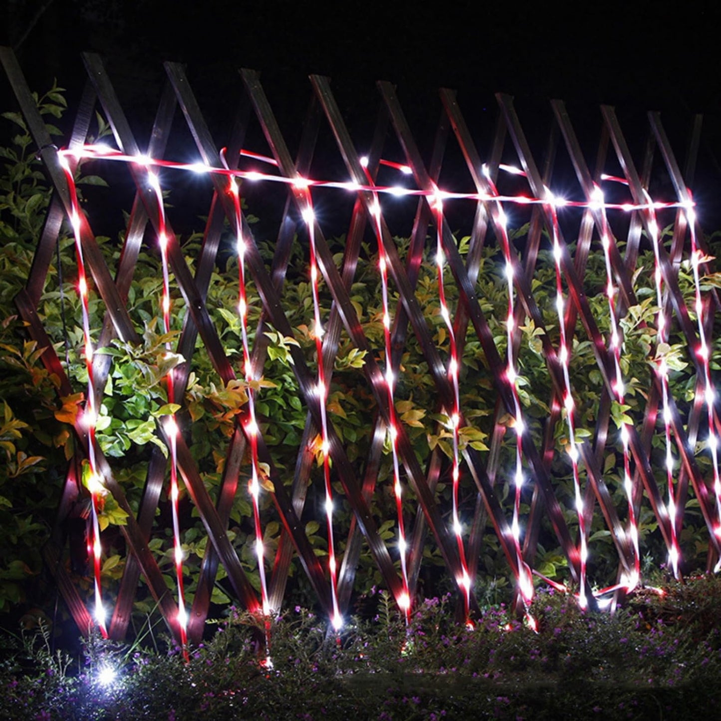QITONG Solar Christmas Lights, 2 Pack Each 33ft 100 LED Red & White Candy Cane Rope Light Outdoor Waterproof, 8 Modes Fairy Lights in Clear Thin Tube