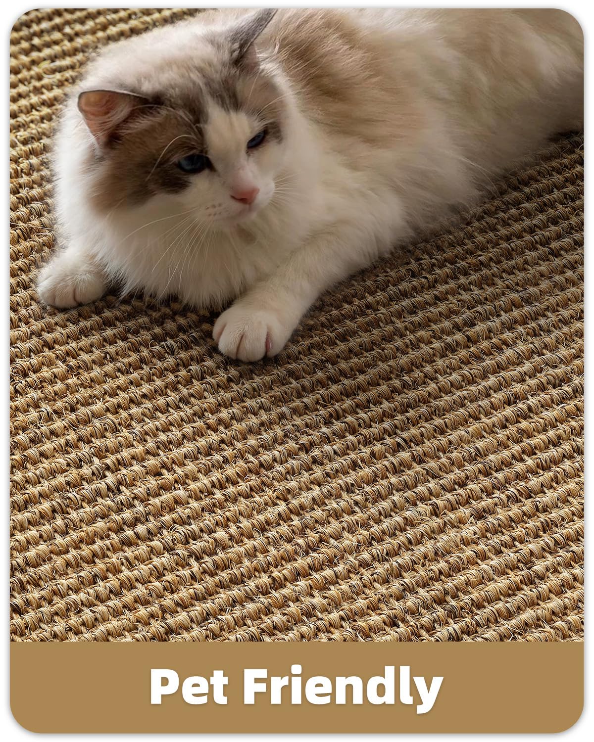Color&Geometry Handwoven Jute Entry Rug - Natural Textured Front Door Mat 32"x48", Non-Slip Durable & Eco-Friendly Doormat for High-Traffic Entrance, Rustic Farmhouse Welcome Mat, Sisal Brown