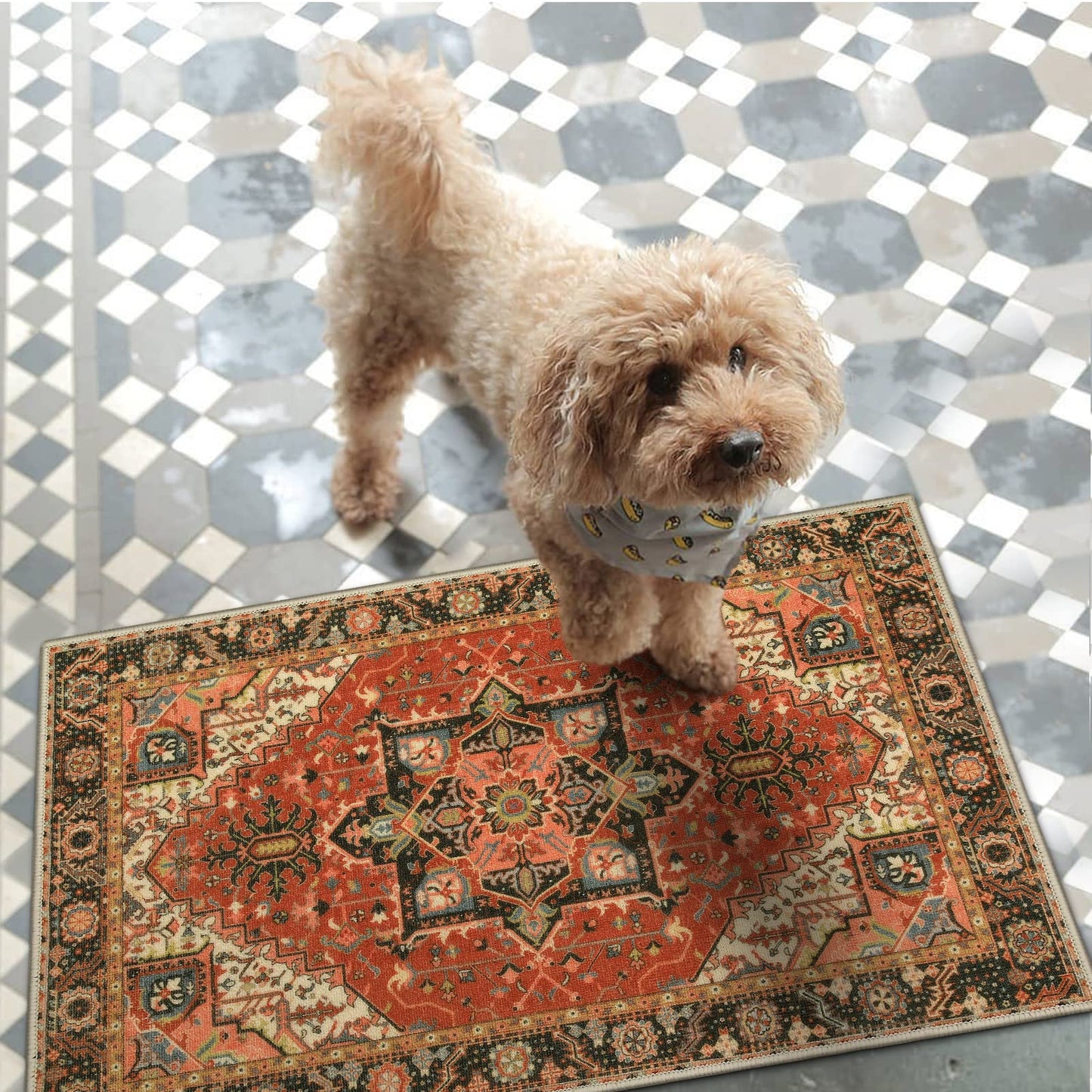Collive Washable Indoor Door Mat, Non Slip Retro Entryway Rug 20" x 32" Doormat Quick Absorbent Entrance Rug Distressed Front Door Mat, Welcome Mats Floor Mat Doormats for Kitchen Home Patio