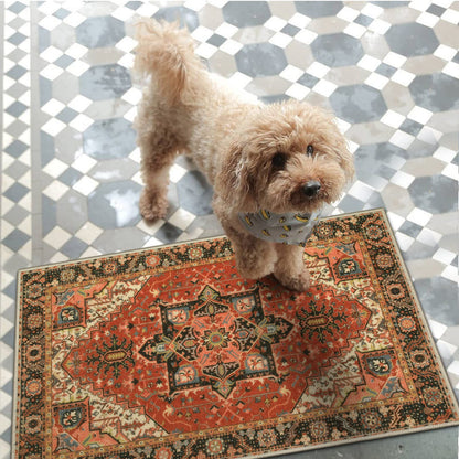 Collive Washable Indoor Door Mat, Non Slip Retro Entryway Rug 20" x 32" Doormat Quick Absorbent Entrance Rug Distressed Front Door Mat, Welcome Mats Floor Mat Doormats for Kitchen Home Patio