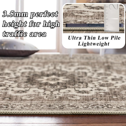 Dining Room Rugs for Under Table - Washable 6x8 Area Rug for Living Room Bedroom Soft Low Pile Non Slip Stain Resistant Carpet - Perfect for Homes with Pets & Kids (Beige, 6x8)