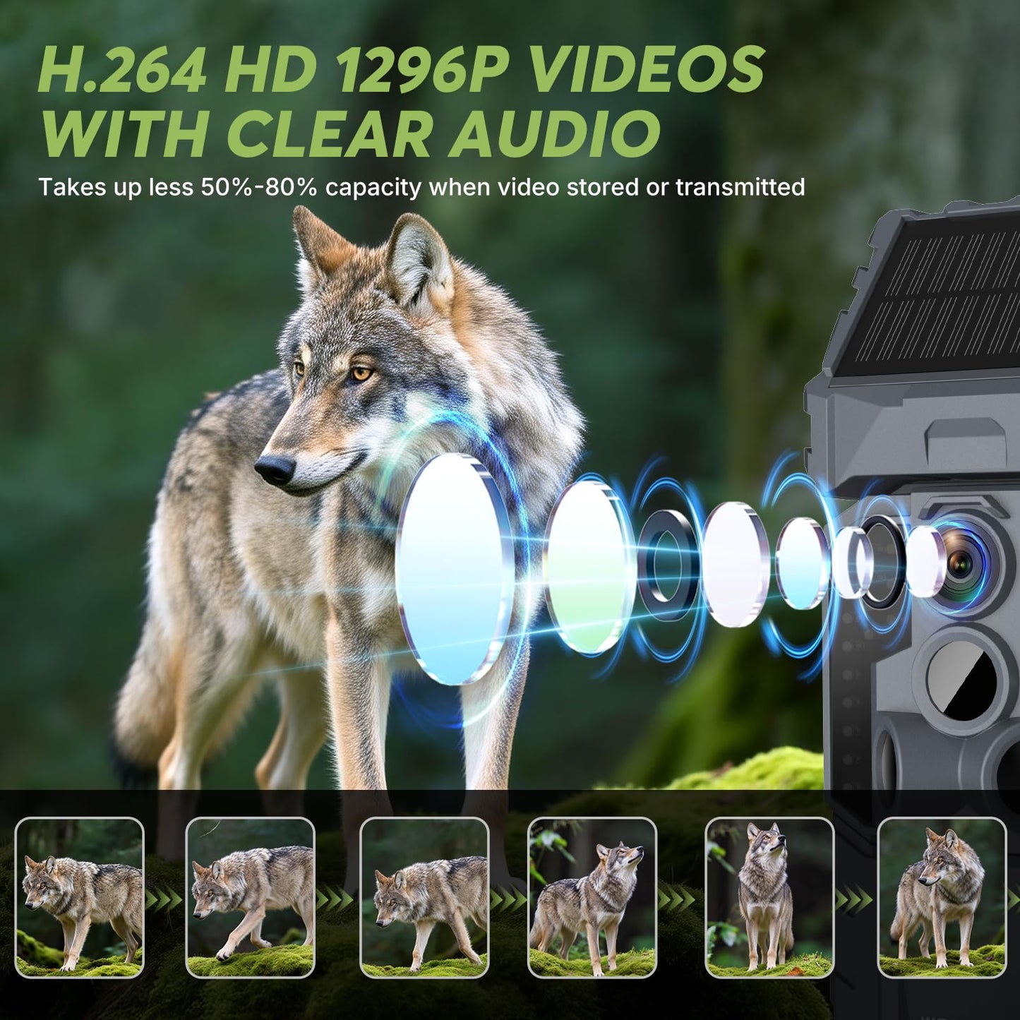 WOSPORTS Solar WiFi Trail Camera with 7800mAh Built-in Battery, 48MP Game Camera for 24/7 Wildlife Security, 0.1s Trigger, IP66 Waterproof Wildlife Cameras with 8 AA Batteries & 64GB SD Card