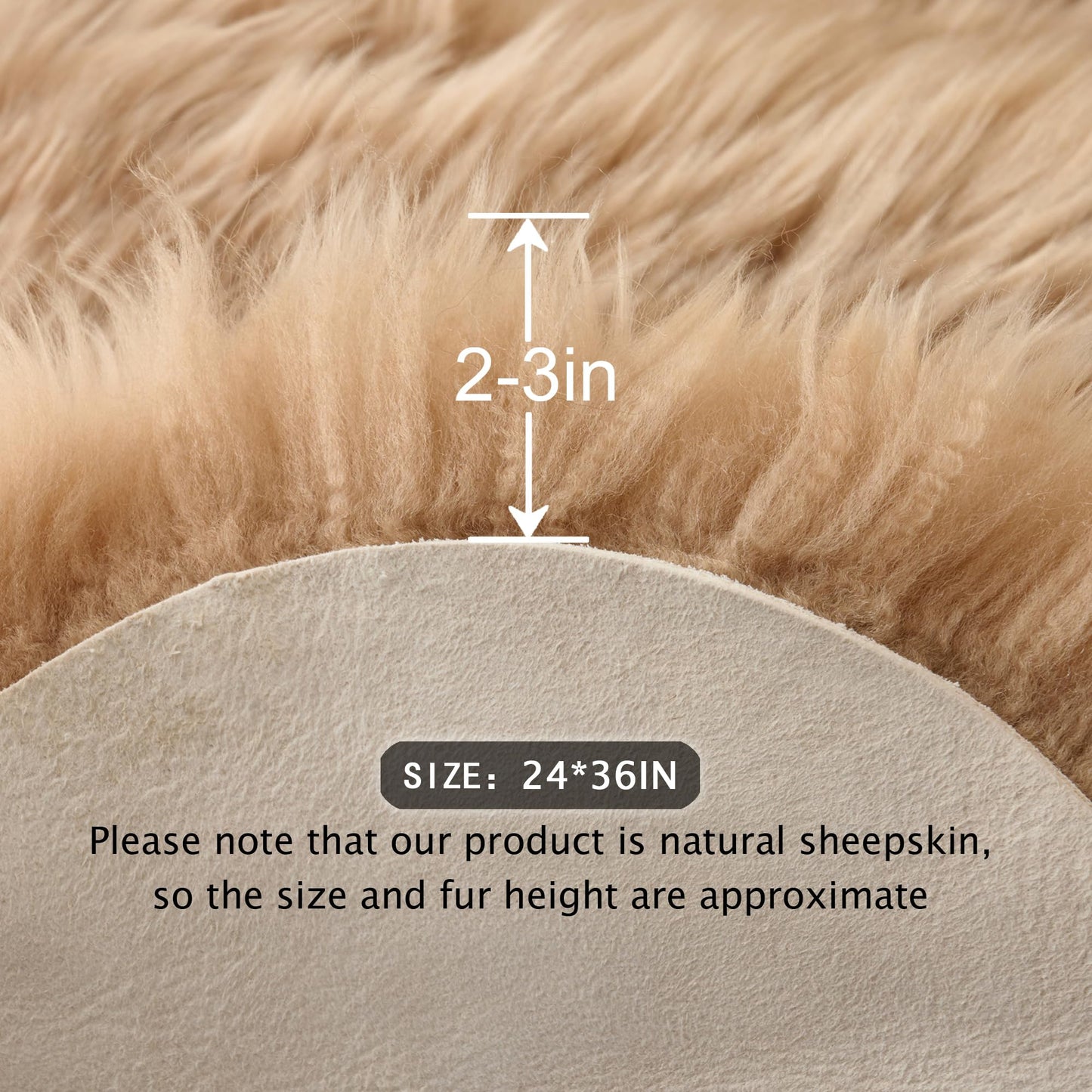 GINAMUSE Premium Genuine Sheepskin Area Rug for Bedroom,Real Fluffy Soft Wool Fur Carpet Natural Luxury Lambskin Rug Seat Chair Covers for Couch Sofa Living Room(Tan,2×3 Feet Sheepskin)
