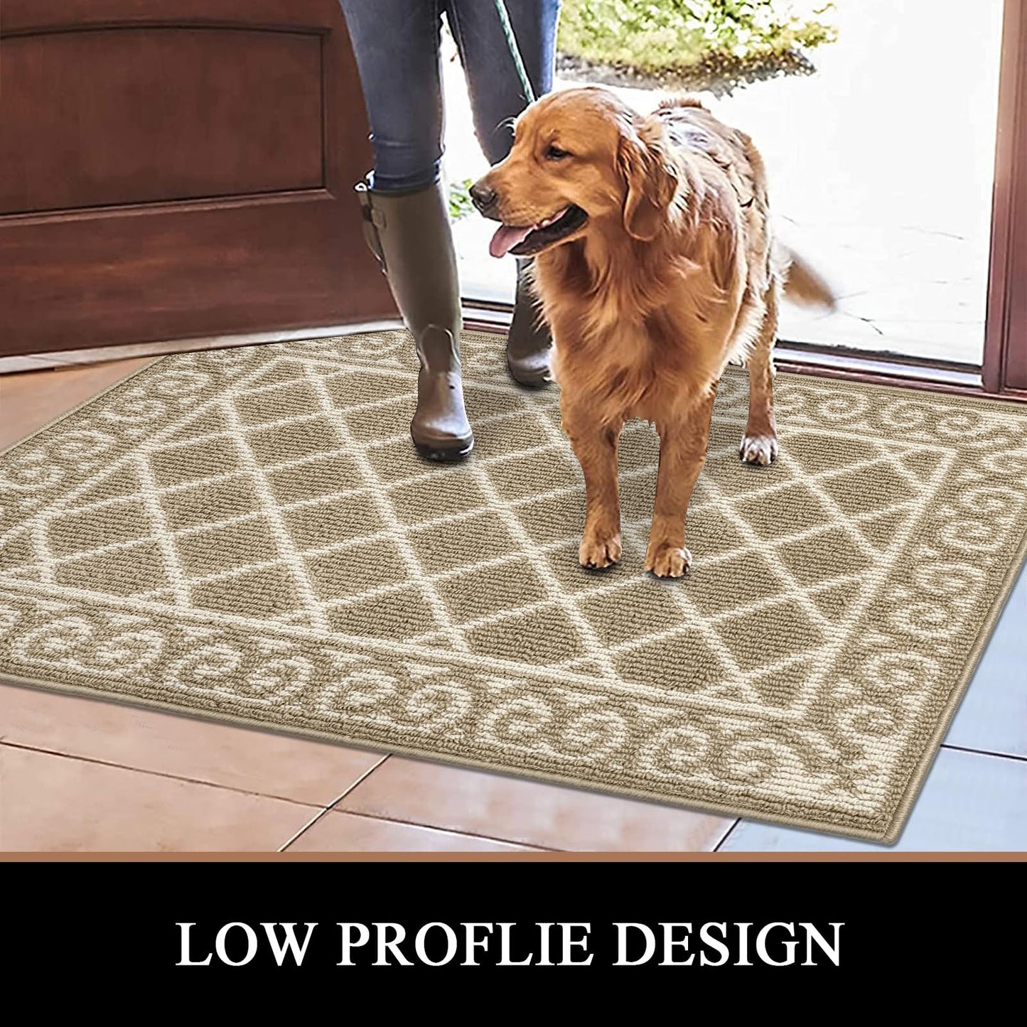 HEBE Indoor Door Mat 24"x36" Non Slip, Washable Welcome Mats for Front Door Entrance, Low Profile Dirt Trapper Doormat Entry Carpet for Entryway, Kitchen, Bathroom