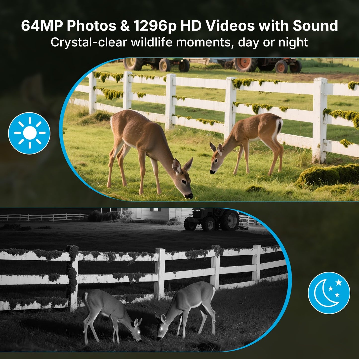 Meidase P300 Pro (Non-Cellular) WiFi Trail Camera, Dual-Antenna 165ft Range, 7800mAh Battery,Fast 0.1s Trigger Speed Motion Activated 64MP Photos, 1296p HD Video, 64GB Industrial SD Card Included