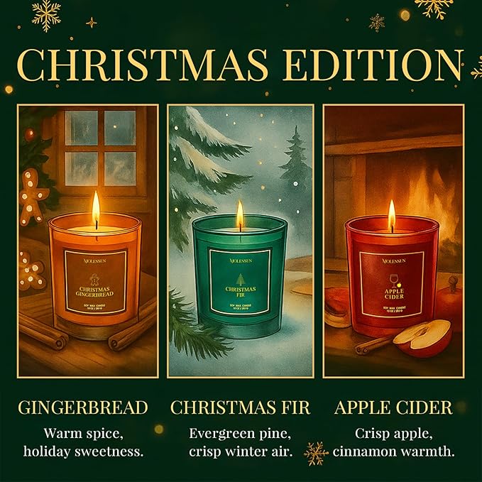 Christmas Candles Gift Set, 3 Pack Total 30oz Soy Scented Candles in Luxury Gift Box, Birthday & Holiday Gifts for Women & Men, Long Lasting Non-Toxic Clean Burn, Elegant Winter Festive Home Decor