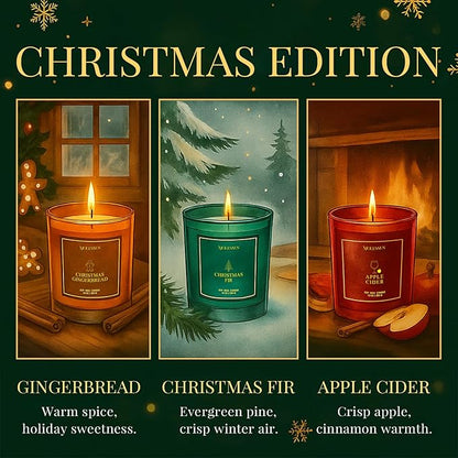 Christmas Candles Gift Set, 3 Pack Total 30oz Soy Scented Candles in Luxury Gift Box, Birthday & Holiday Gifts for Women & Men, Long Lasting Non-Toxic Clean Burn, Elegant Winter Festive Home Decor