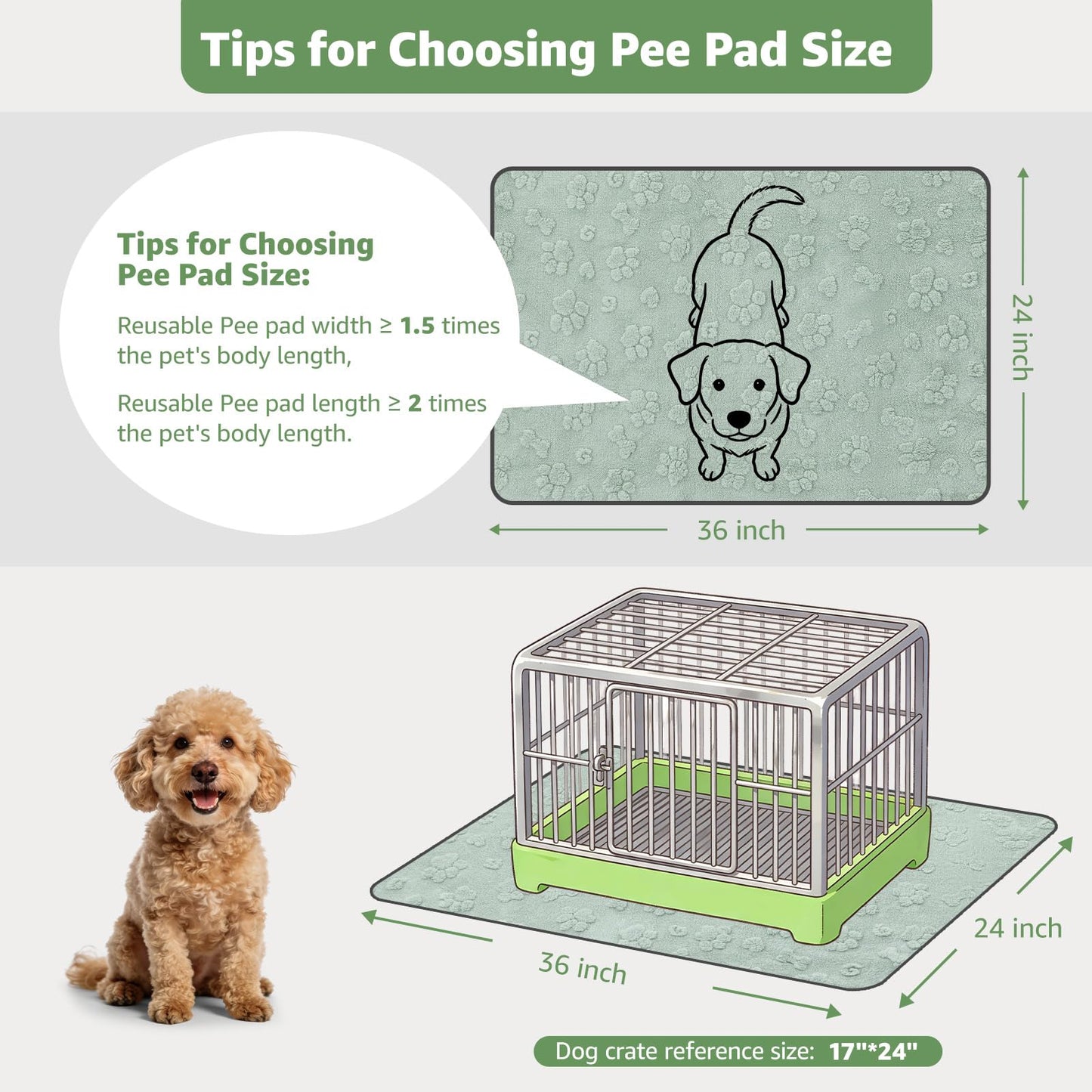 LOOBANI Washable Pee Pads for Dogs: 2 Pack Super Absorbent Reusable Puppy Pads, Leakproof and Waterproof Dog Training Pads Whelping Pads for Potty, Floor, Crate, Couch Bed and Travel, 36"x24"