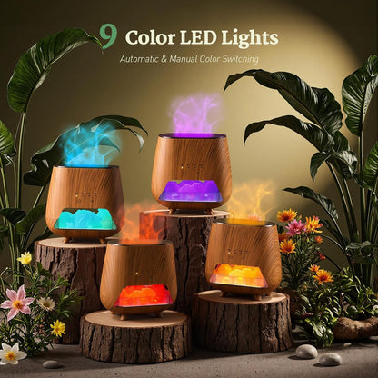 2-in-1 Ultrasonic Aromatherapy Diffuser: Essential Oil Diffuser & Himalayan Salt Lamp, Quiet Scent Diffusers for Home with Cool Mist and Timer Settings