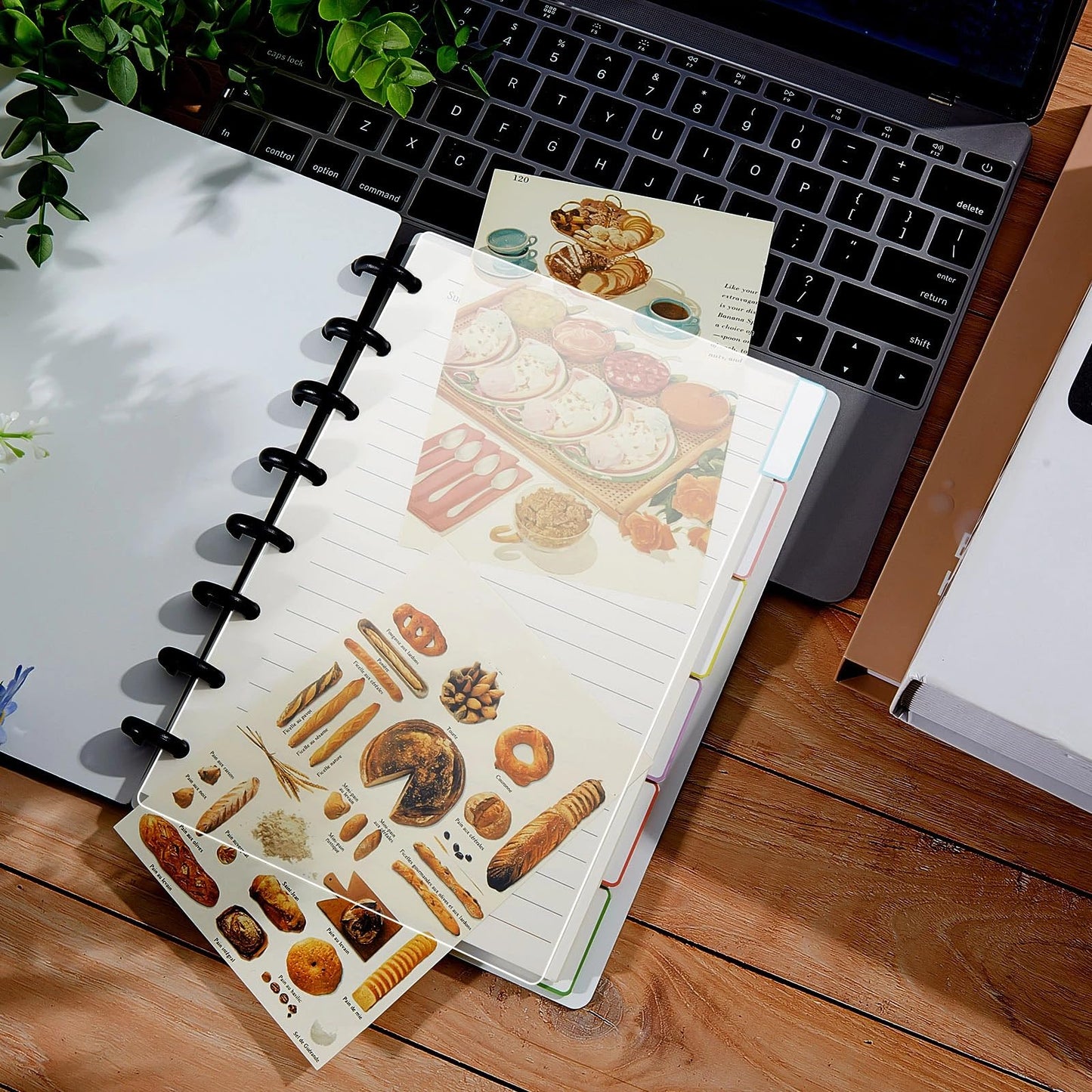 15 Sheets Junior Poly Tab Dividers for Discbound Notebooks Disc Bound Planner Supplies Dividers Tab Binder Index Notebook Accessories for Semi Transparent(White)