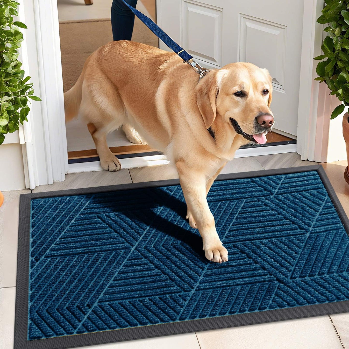 Kitinjoy Front Door Mat Outside Entrance, Sturdy Natural Dirt Trapper, Heavy Duty Rubber Doormat, Low Profile Non-Slip Backing, Easy Clean Floor Mat for Indoor Outdoor Entry, 47X32 Inch, Mixed Blue