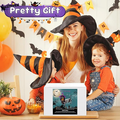 Pre-lit 25.5 Inches Long Halloween Skeleton Dachshund Dog with Witch Hats with Twinkle Lights Indoor Outdoor Decorations Halloween Decorations Lights for Home Garden Party Yard Decor Black